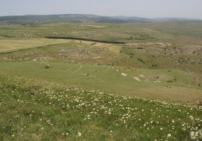 Causses & Cévennes (France)